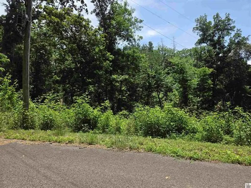 Lot 68 & 69 Baker Lane Cadiz KY 42211