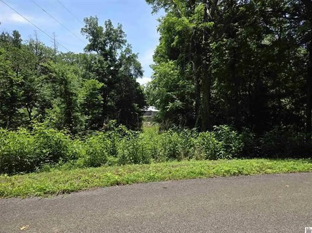 Lot 68 & 69 Baker Lane Cadiz KY 42211