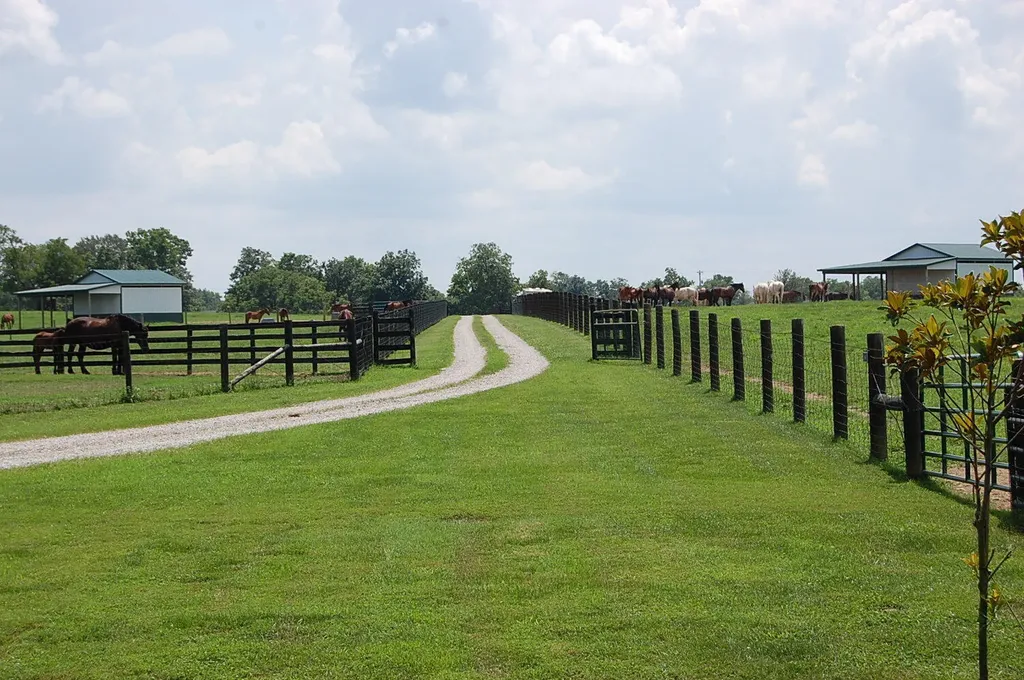 1378 Brentsville Road Paris KY 40361