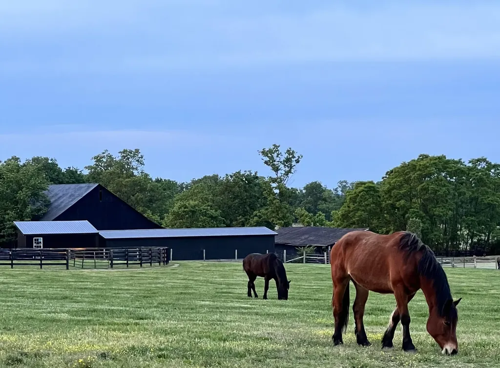 1378 Brentsville Road Paris KY 40361