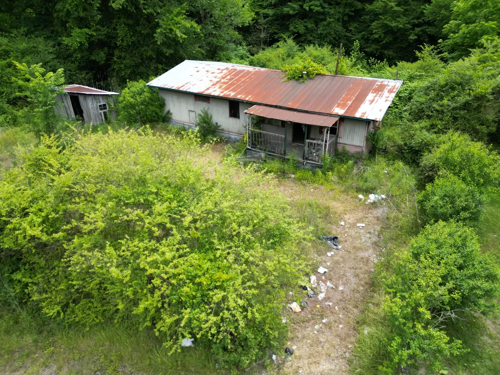 18 The Store Lane Viper KY 41774