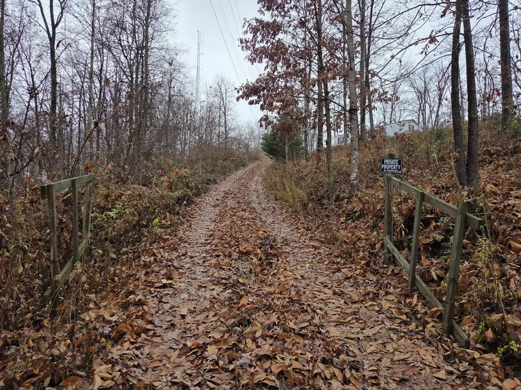 63 Cove Branch Road Orlando KY 40460