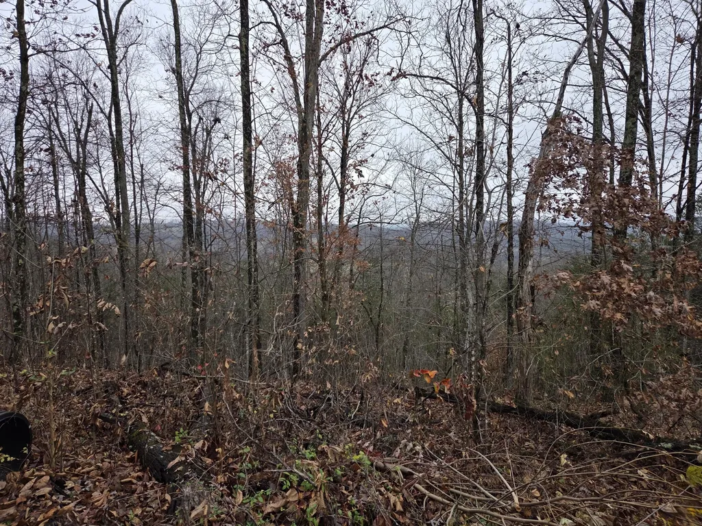 63 Cove Branch Road Orlando KY 40460
