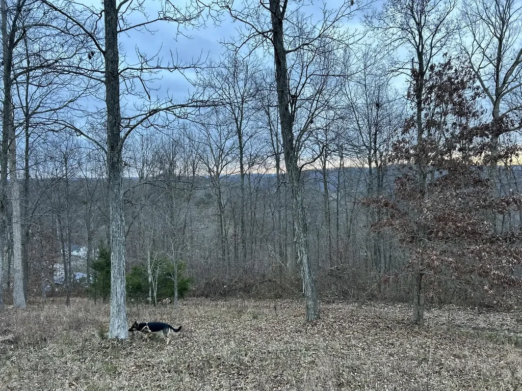 63 Cove Branch Road Orlando KY 40460