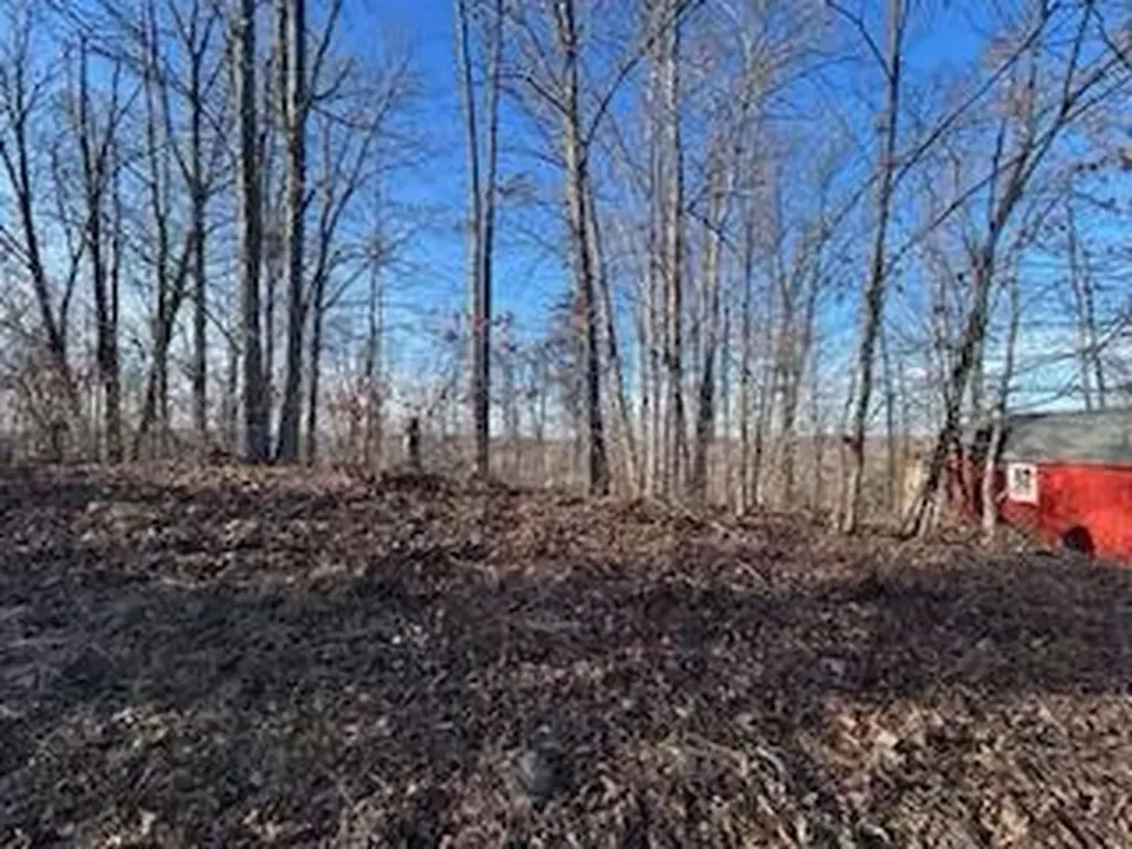 63 Cove Branch Road Orlando KY 40460