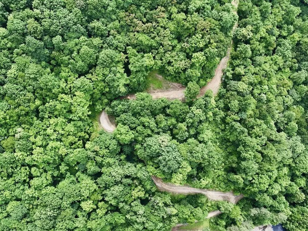 192 Gum Gap Road Manchester KY 40962