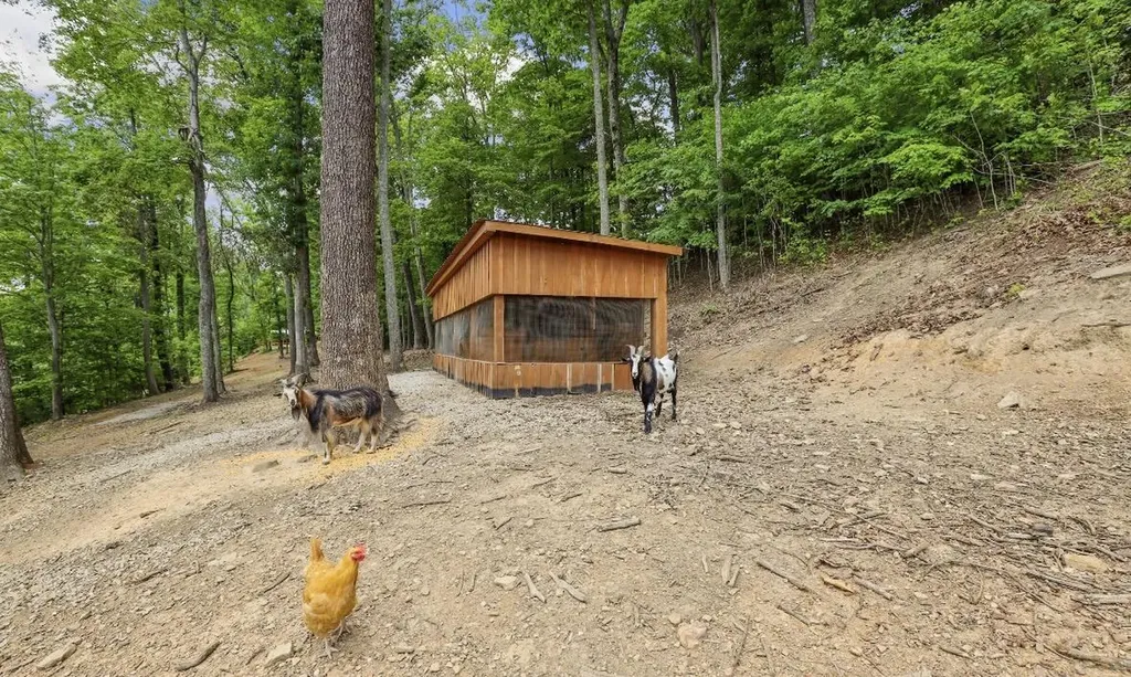 192 Gum Gap Road Manchester KY 40962