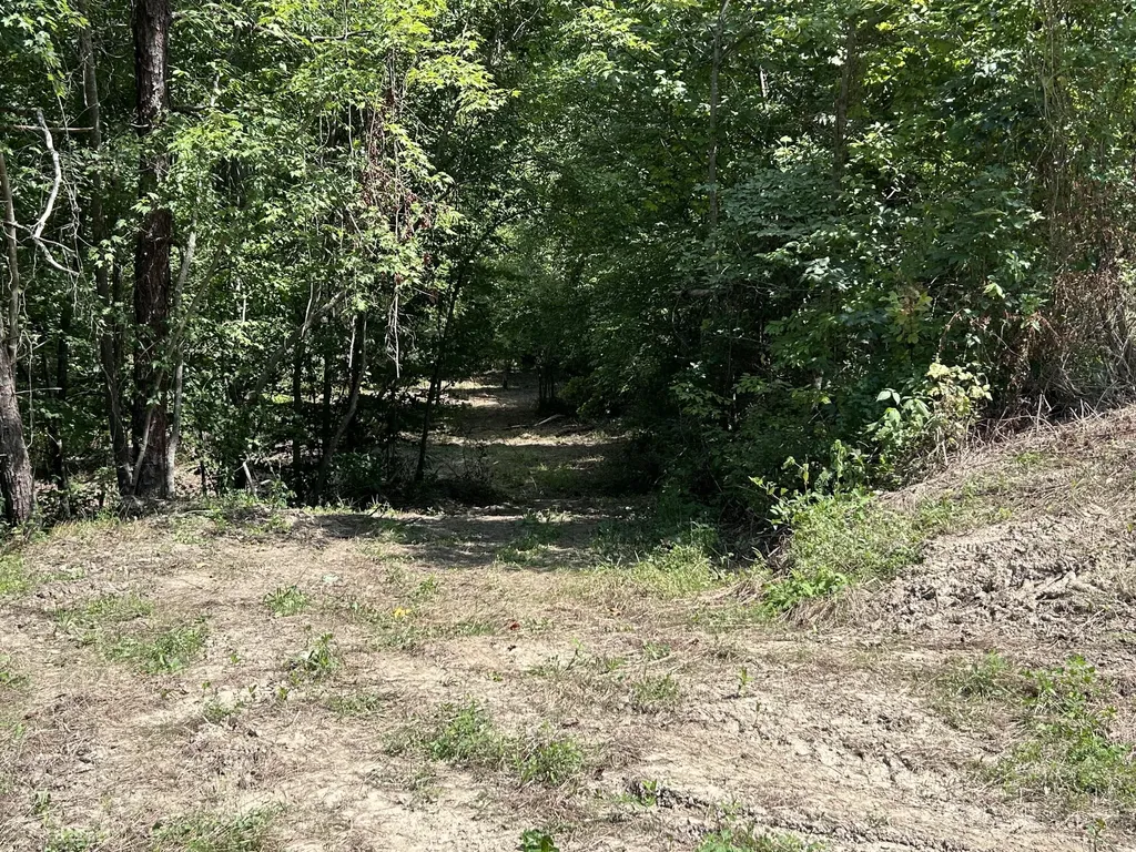 900 Wilber Hill Road Blaine KY 41124