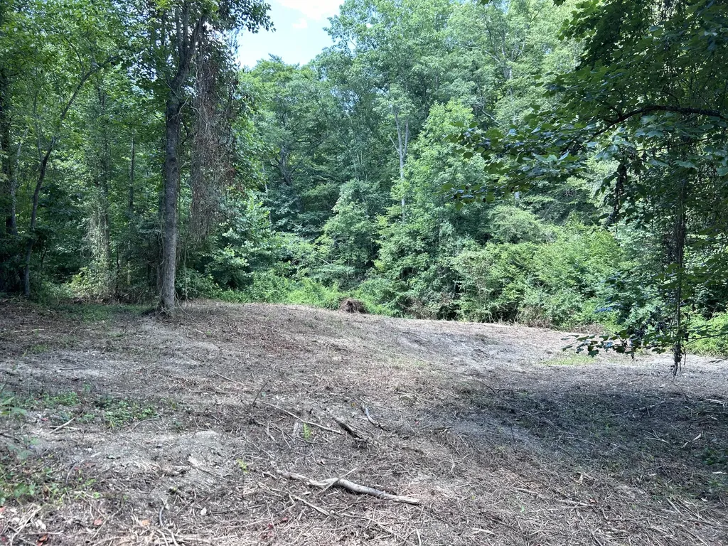 900 Wilber Hill Road Blaine KY 41124