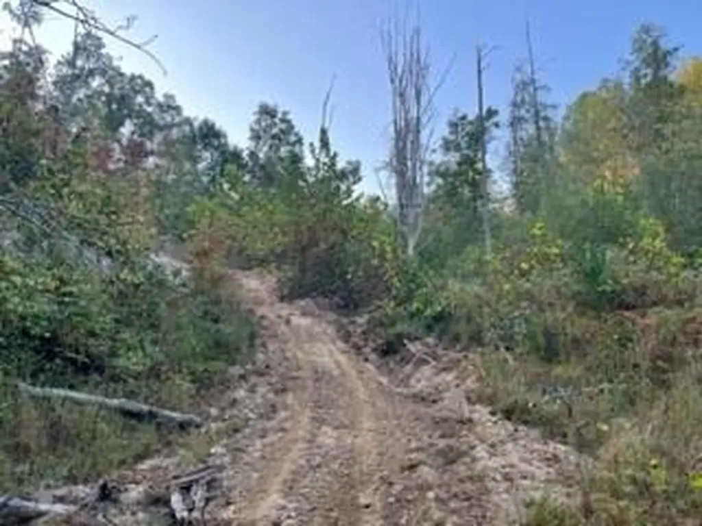 900 Wilber Hill Road Blaine KY 41124