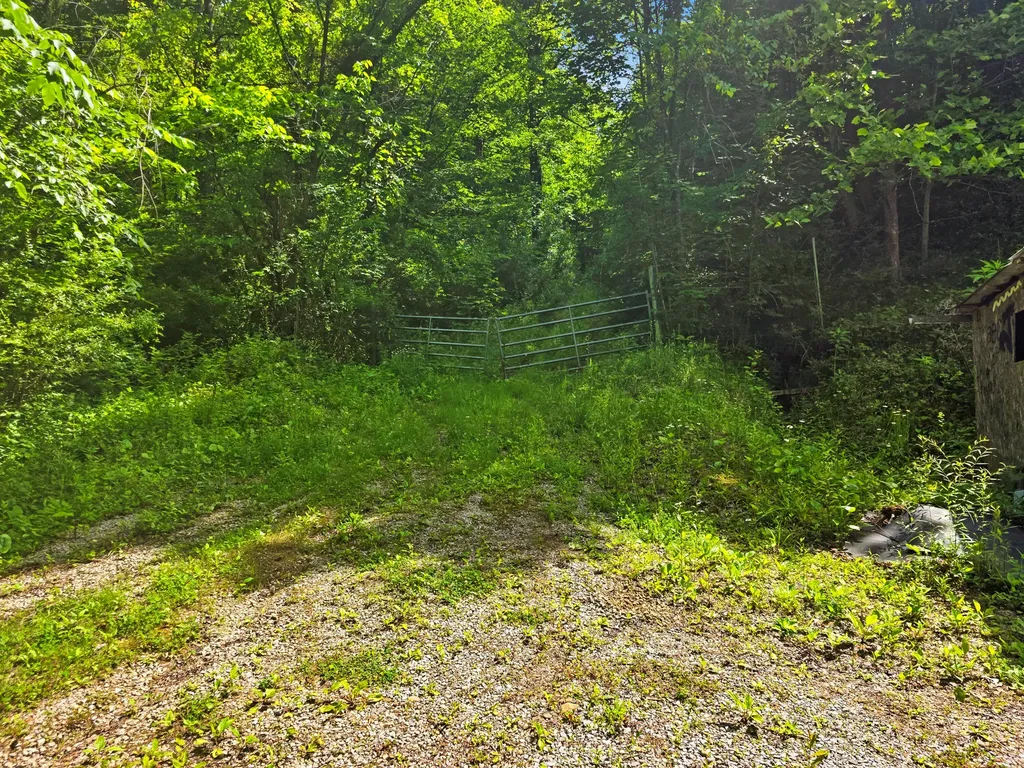 6728 Straight Hollow Road KY 41555