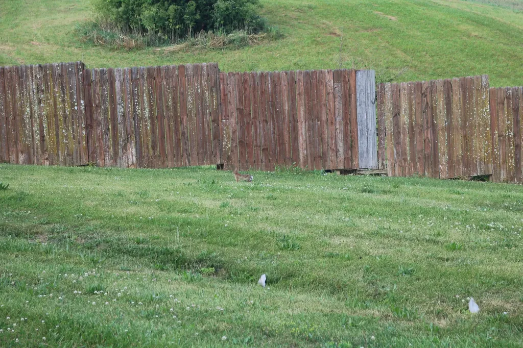 152 Watson Lane Ewing KY 41039