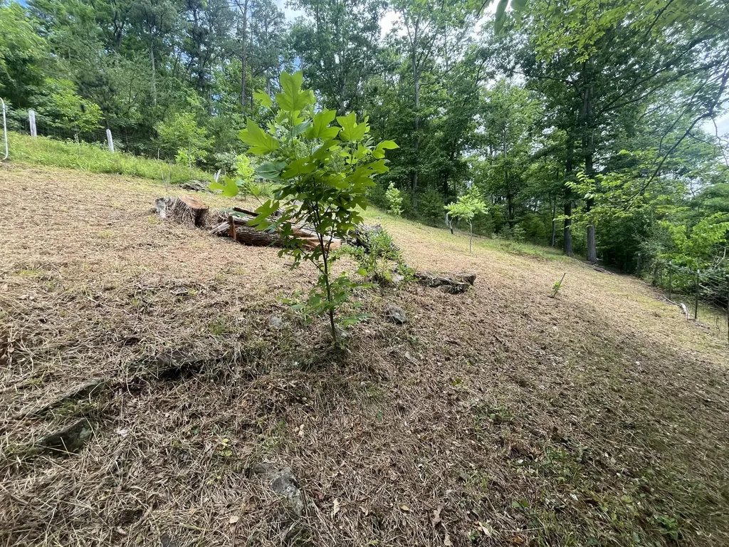 14641 Highway 522 Cumberland KY 40823