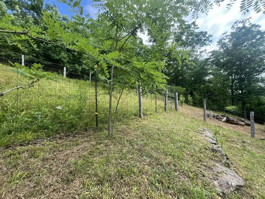 14641 Highway 522 Cumberland KY 40823