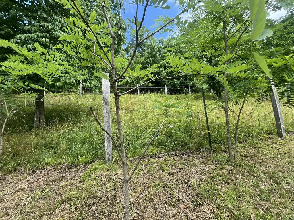 14641 Highway 522 Cumberland KY 40823