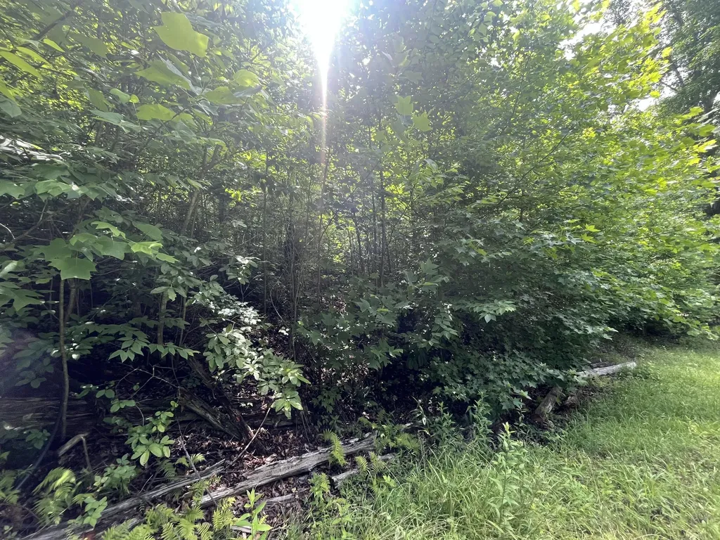 14641 Highway 522 Cumberland KY 40823