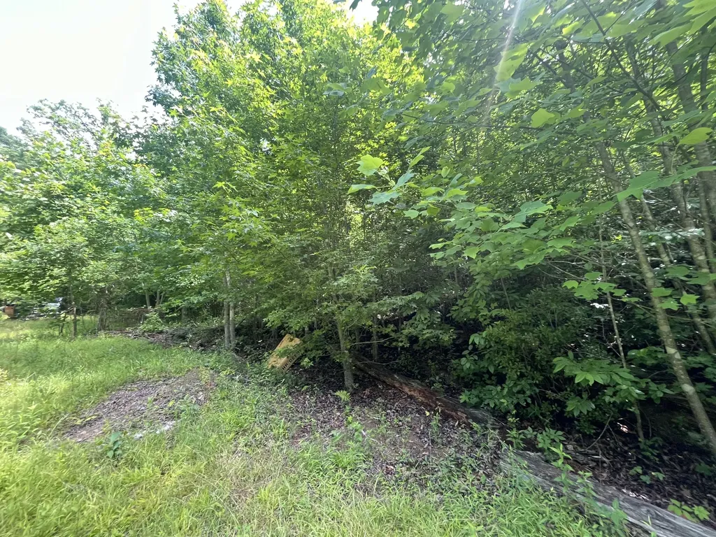 14641 Highway 522 Cumberland KY 40823