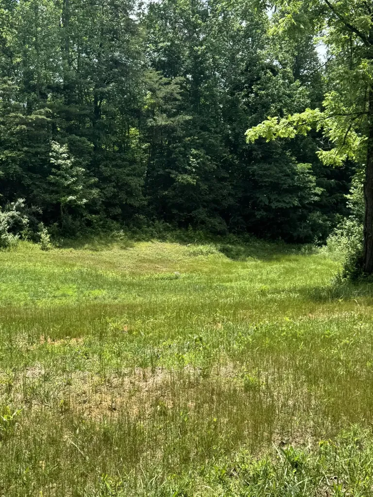 6548 State Highway 1680 Jamestown KY 42629