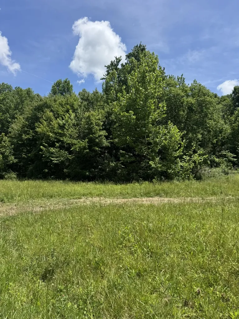 6548 State Highway 1680 Jamestown KY 42629
