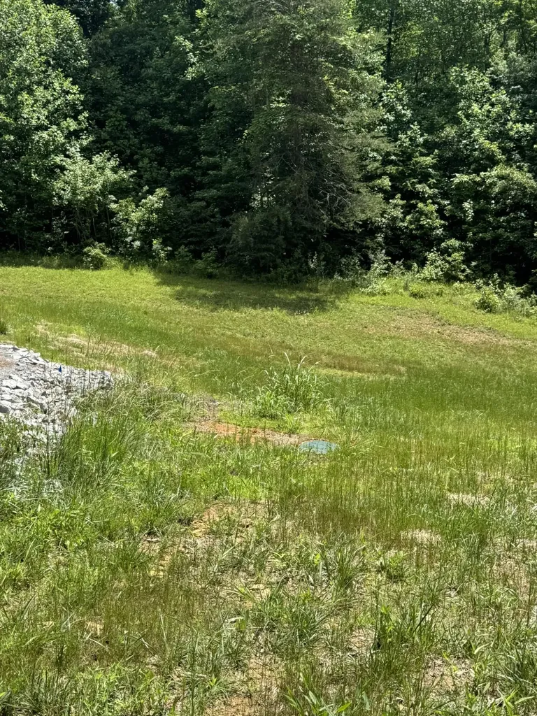 6548 State Highway 1680 Jamestown KY 42629