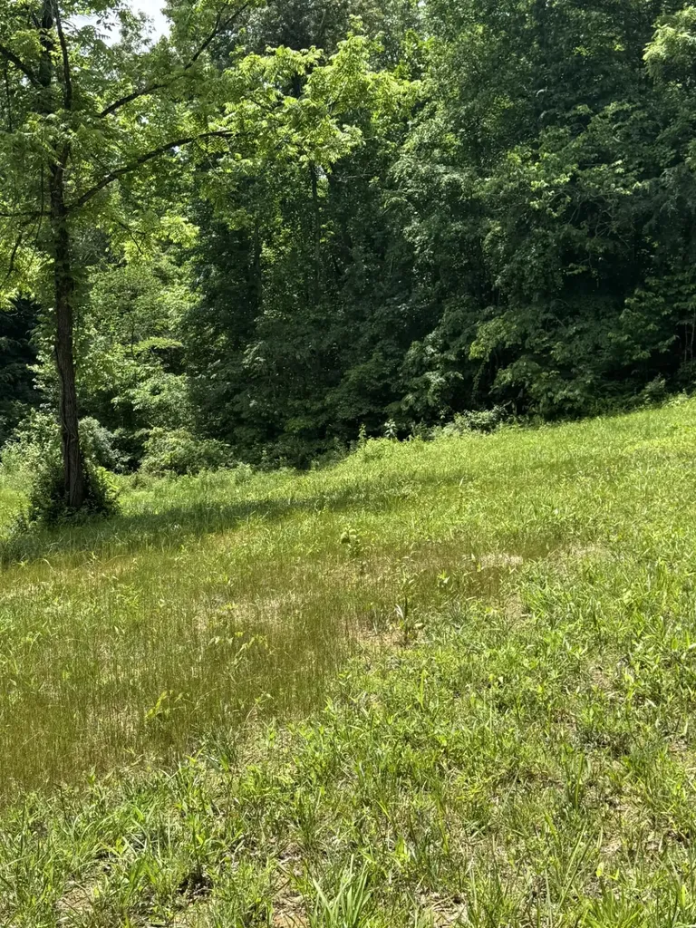 6548 State Highway 1680 Jamestown KY 42629