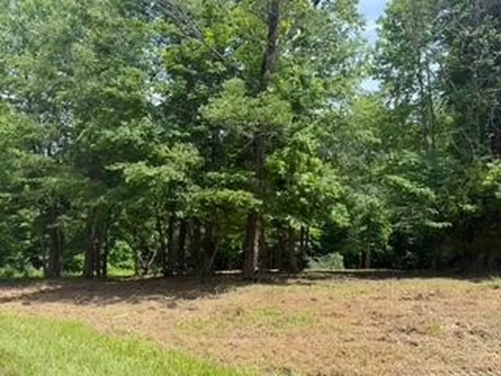 Lot 12 Twin Creeks Loop Jamestown KY 42629