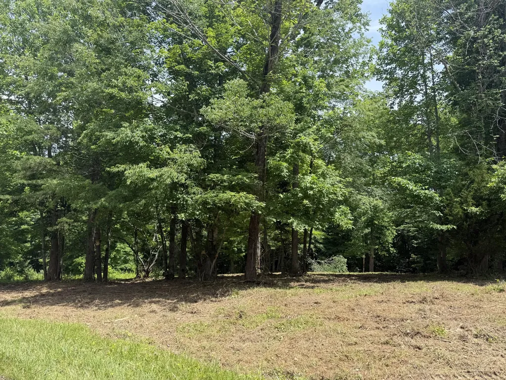Lot 12 Twin Creeks Loop Jamestown KY 42629