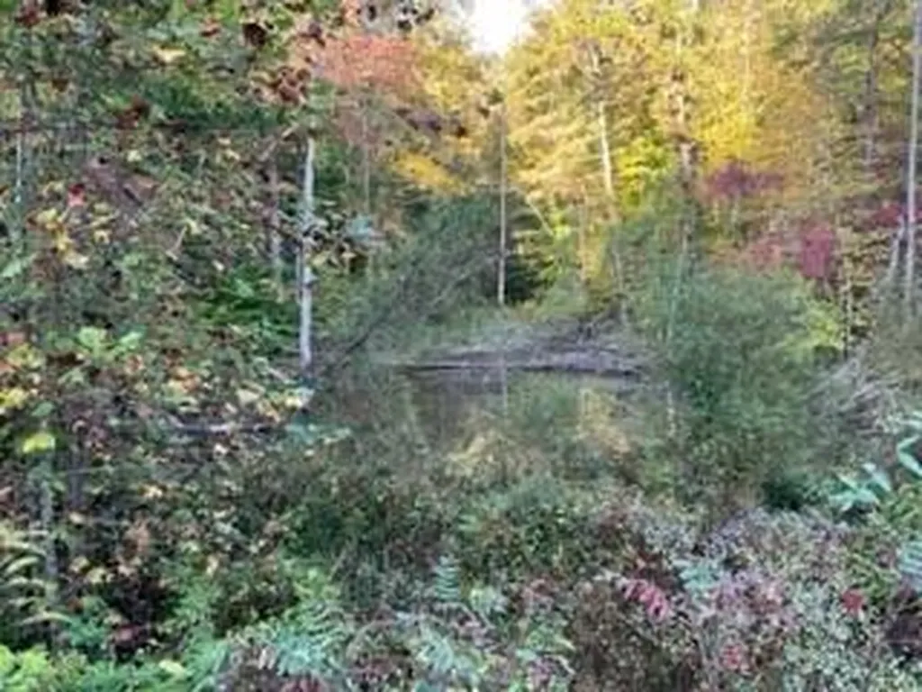 1001 Wilber Hill Road Blaine KY 41124