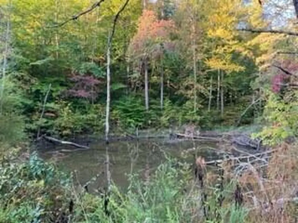 1001 Wilber Hill Road Blaine KY 41124