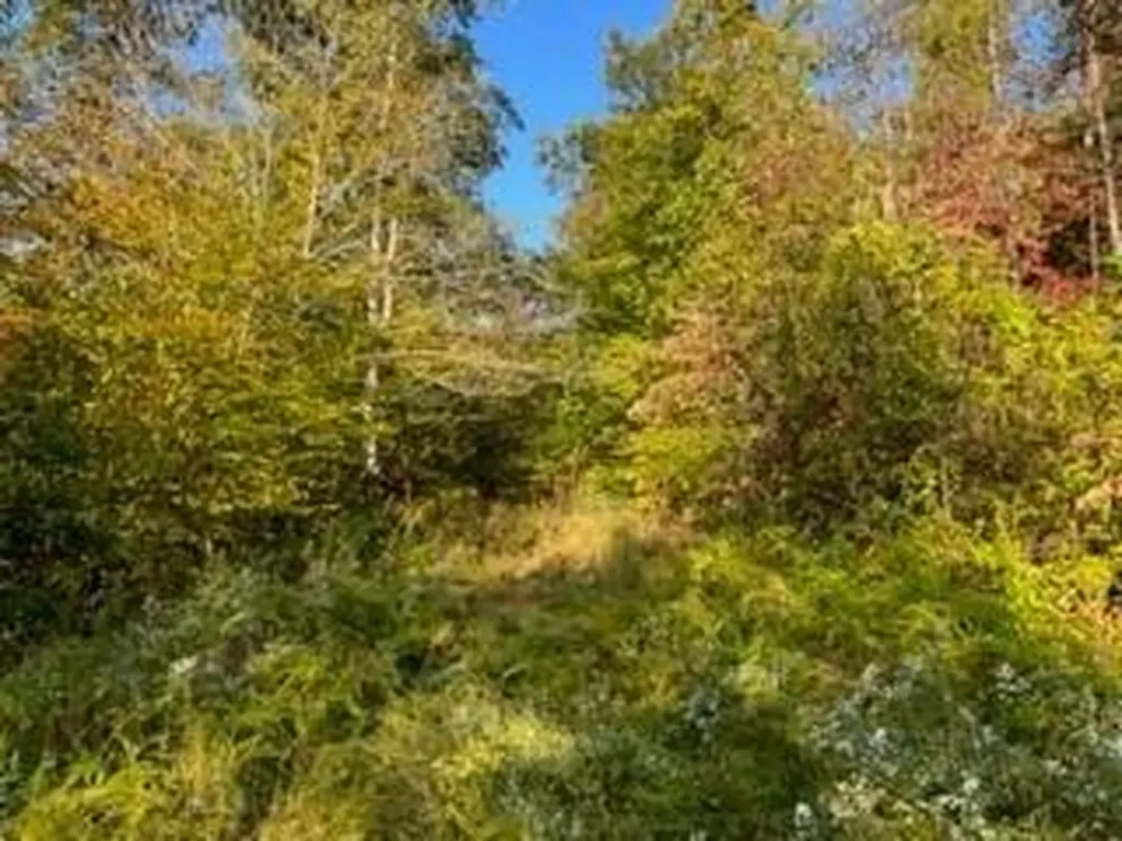 1001 Wilber Hill Road Blaine KY 41124