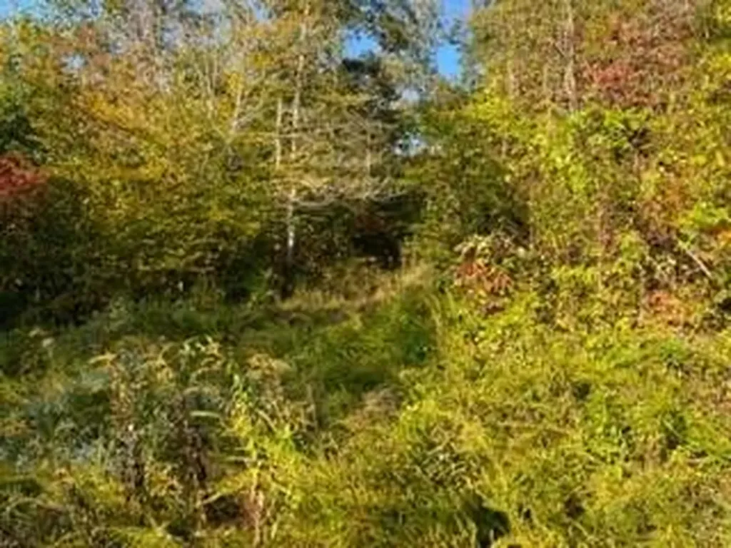 1001 Wilber Hill Road Blaine KY 41124