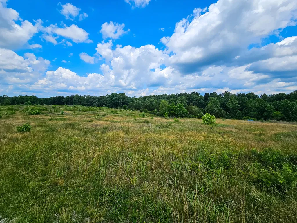 10 Cornetts Cv Road Hustonville KY 40437