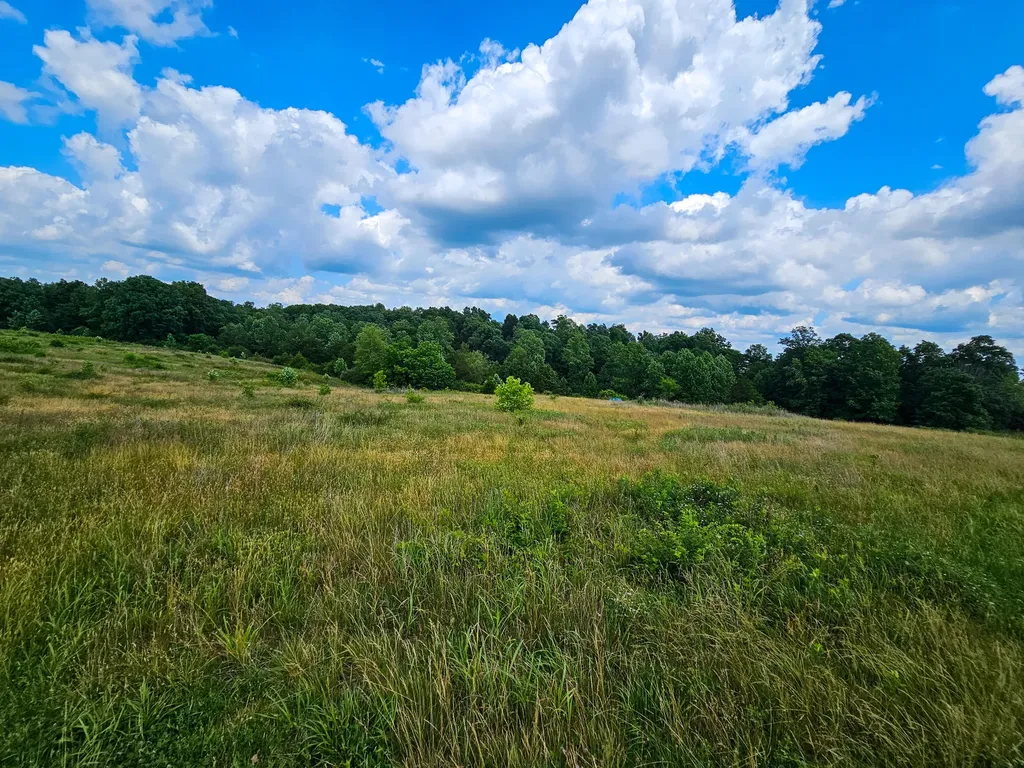 10 Cornetts Cv Road Hustonville KY 40437