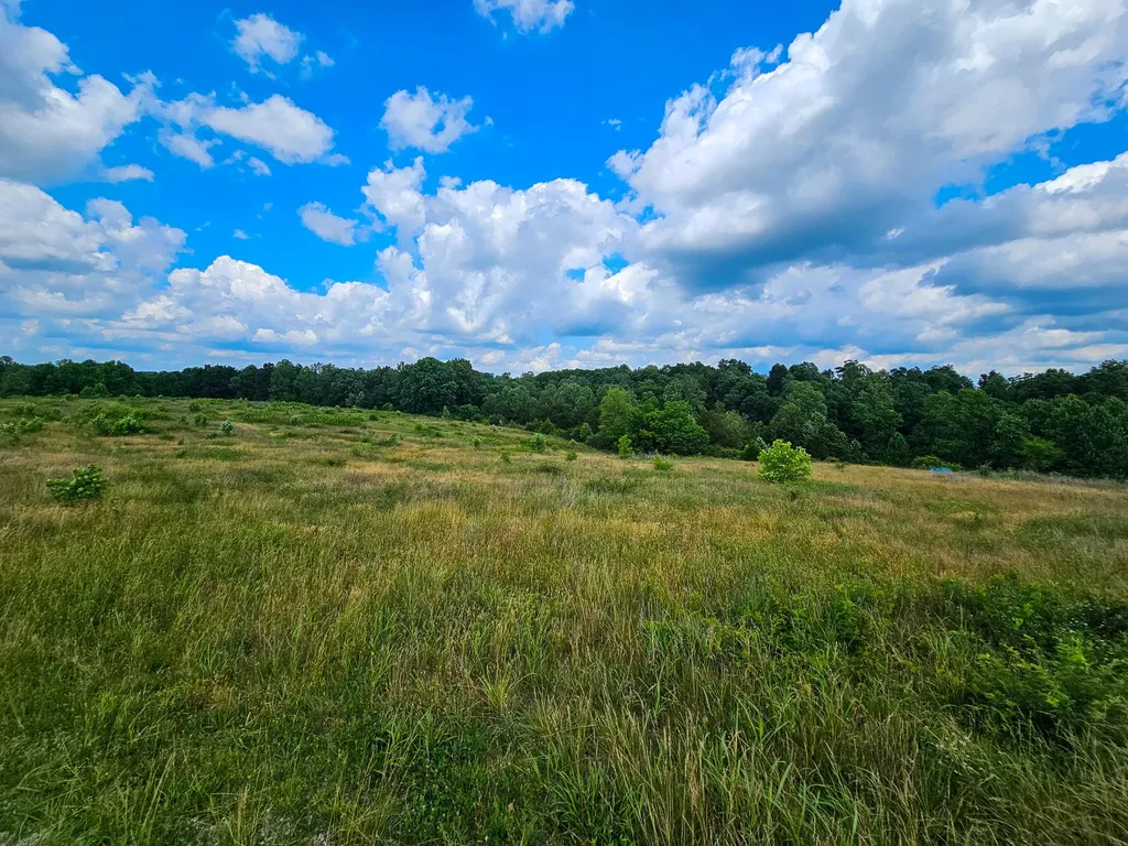 10 Cornetts Cv Road Hustonville KY 40437