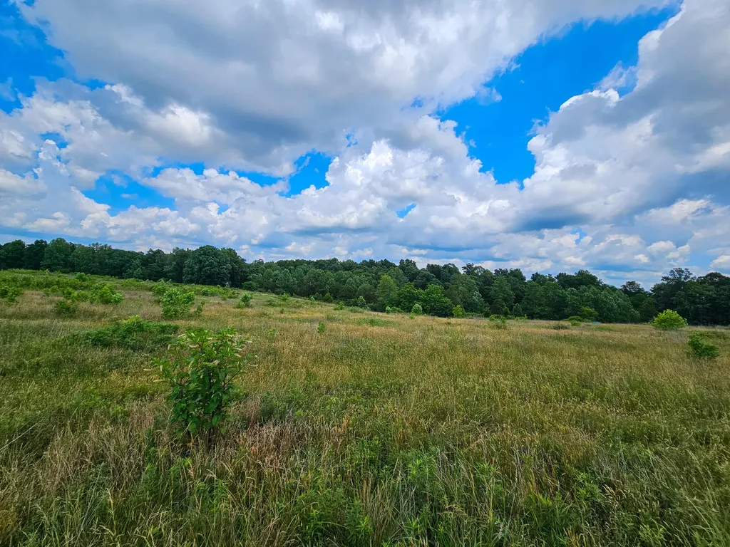 10 Cornetts Cv Road Hustonville KY 40437