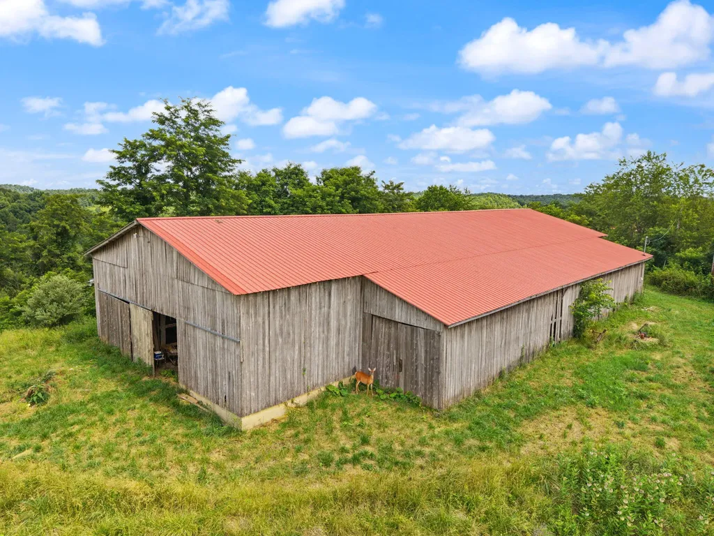 440 Randolph Road Olive Hill KY 41164