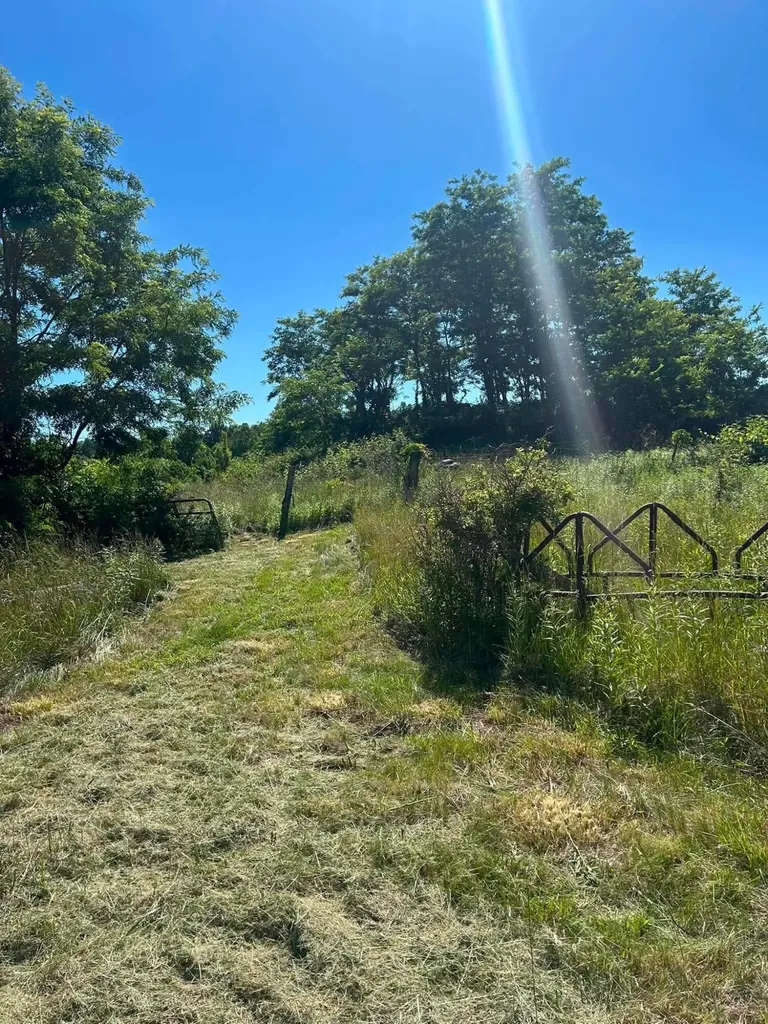 440 Randolph Road Olive Hill KY 41164