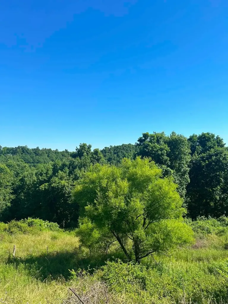 440 Randolph Road Olive Hill KY 41164
