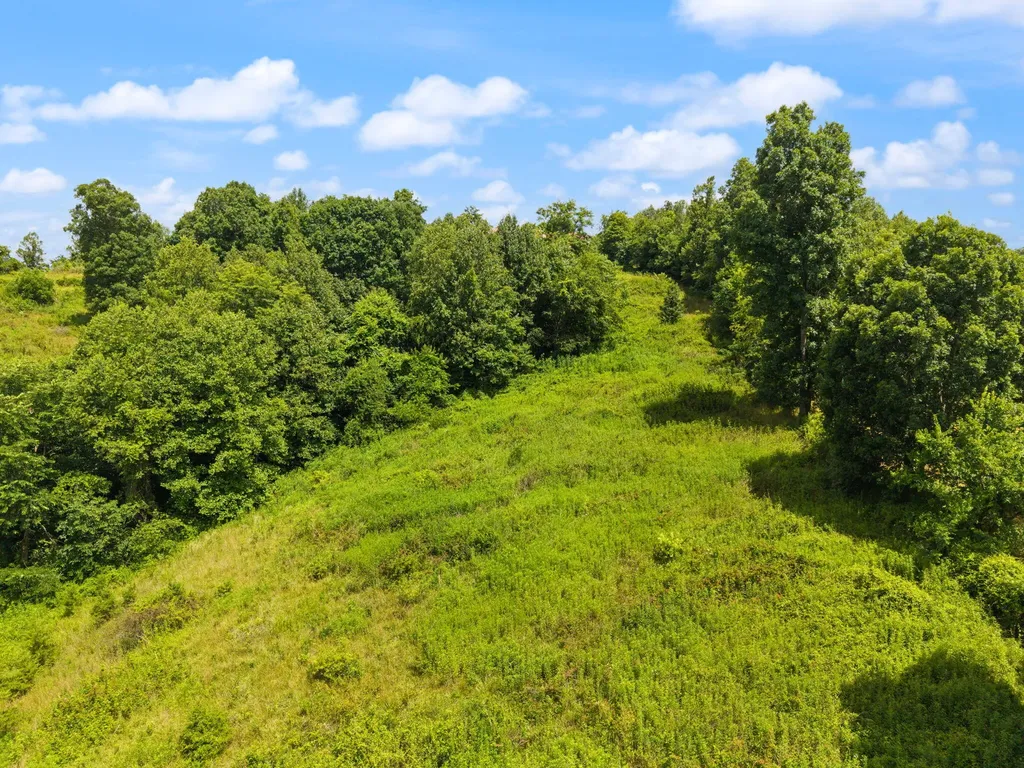 440 Randolph Road Olive Hill KY 41164