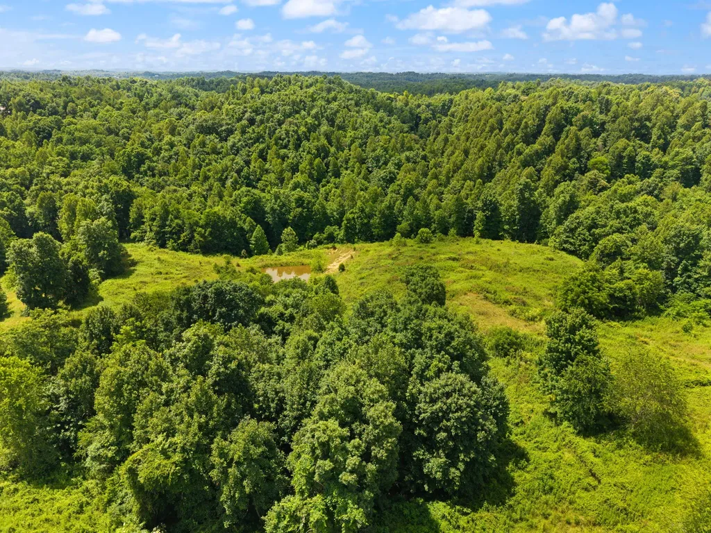 440 Randolph Road Olive Hill KY 41164