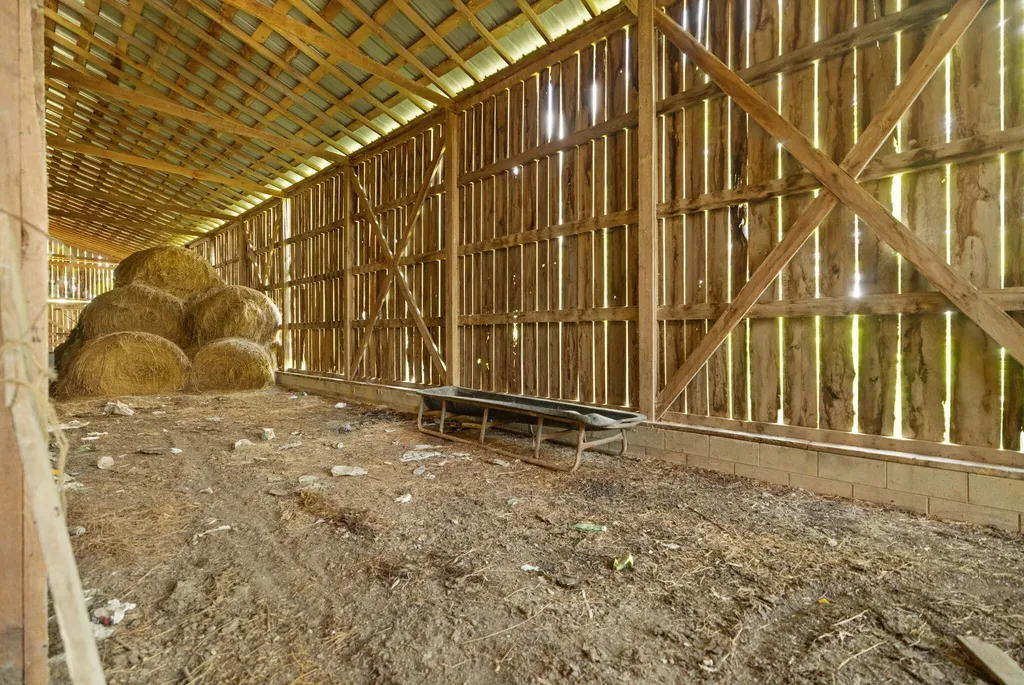 440 Randolph Road Olive Hill KY 41164