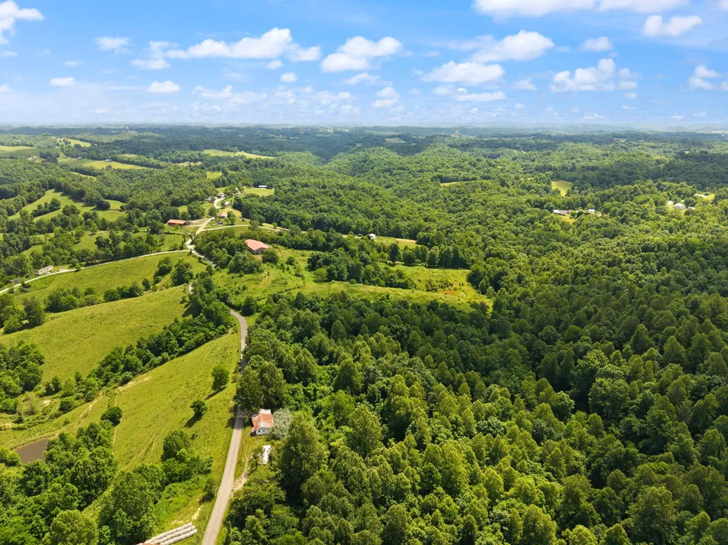 440 Randolph Road Olive Hill KY 41164