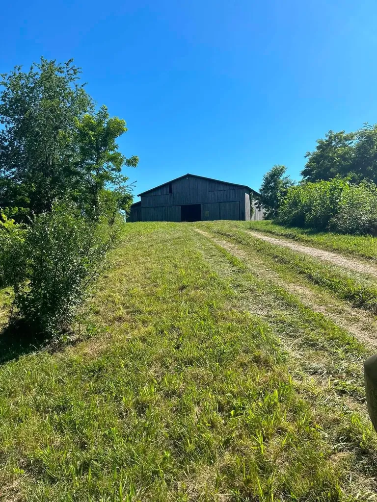 440 Randolph Road Olive Hill KY 41164