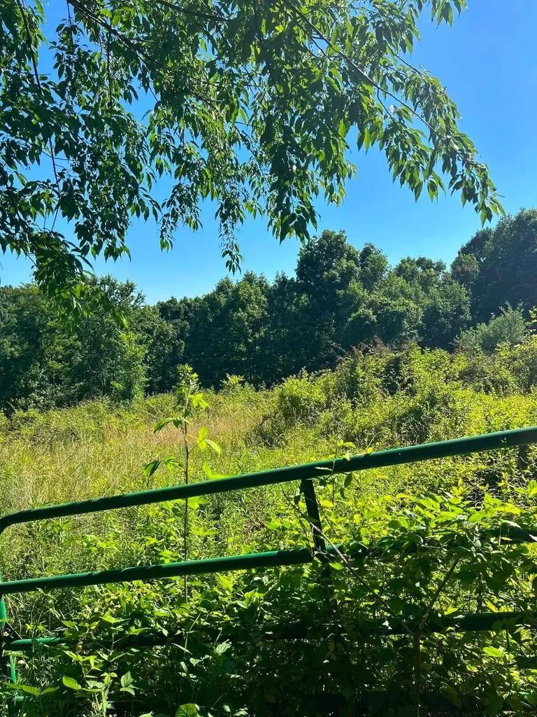 440 Randolph Road Olive Hill KY 41164
