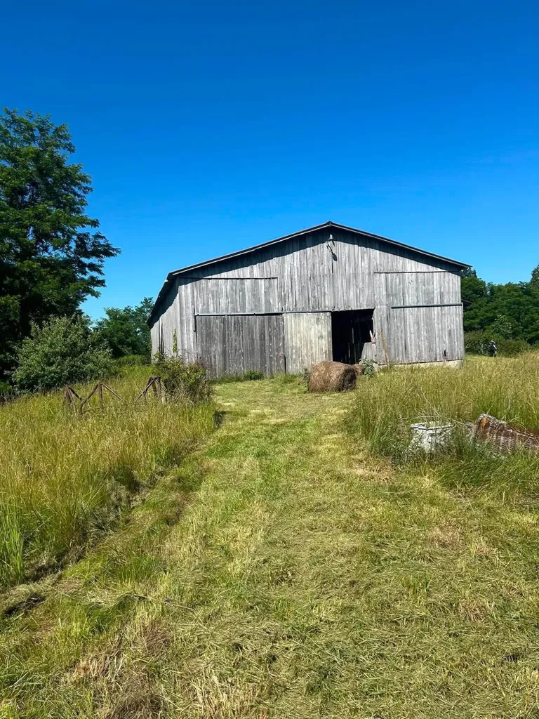 440 Randolph Road Olive Hill KY 41164