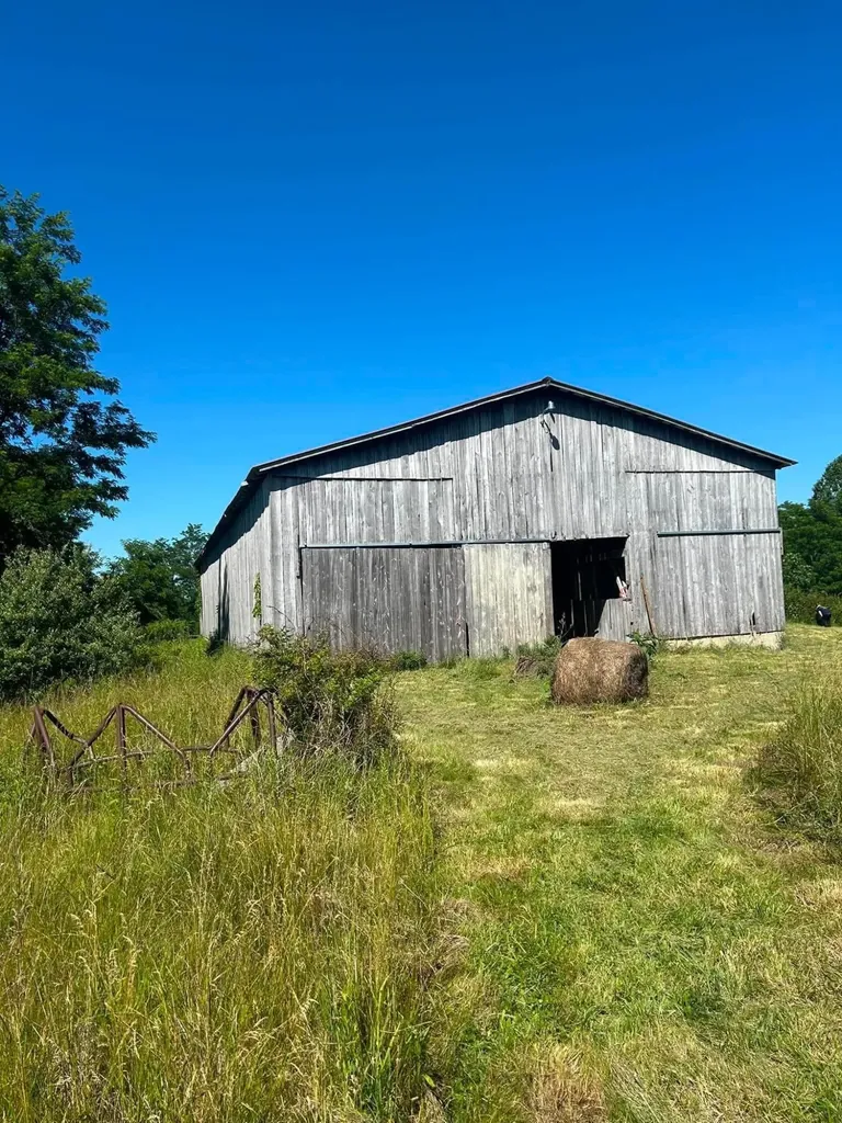 440 Randolph Road Olive Hill KY 41164