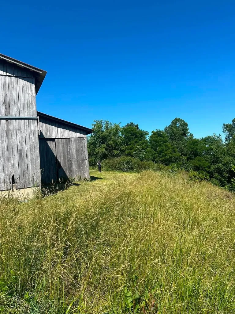 440 Randolph Road Olive Hill KY 41164