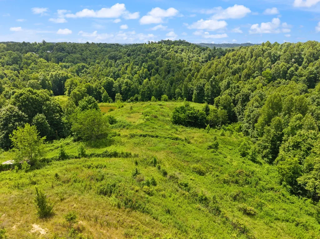 440 Randolph Road Olive Hill KY 41164