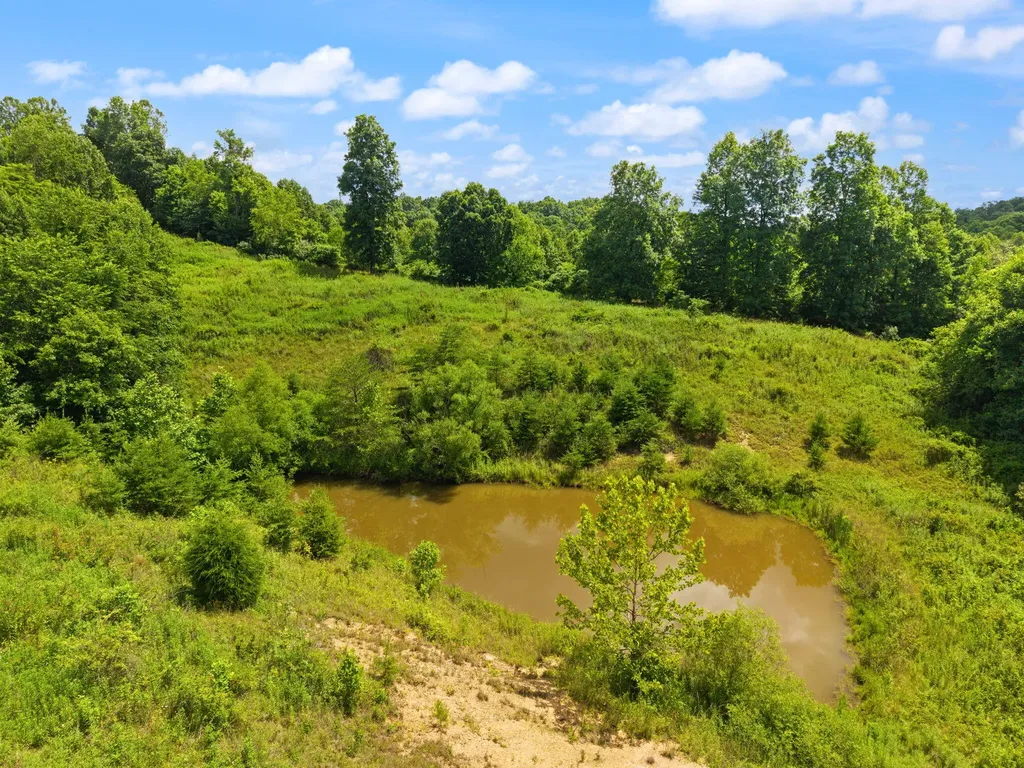 440 Randolph Road Olive Hill KY 41164