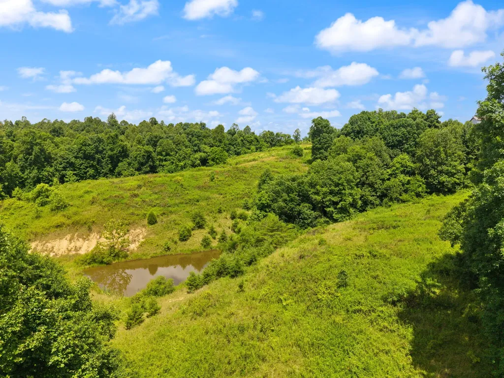 440 Randolph Road Olive Hill KY 41164